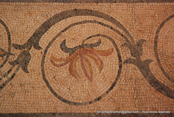 [NU003-2017-151] Vaison-la-Romaine (Vasio) : Musée - Détail (Volute à fleurons) de l'angle d'une mosaïque polychrome au canard (II° siècle)
