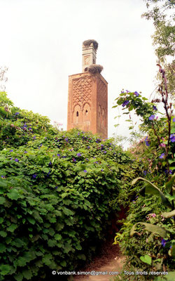[C036-1993-04] Sala colonia - Chellah : Minaret émaillé de zéliges (pour sa partie supérieure)