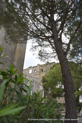 [NU926-2023-6191] 13 - Montmajour - Abbaye Saint-Pierre : Façade orientale du monastère mauriste