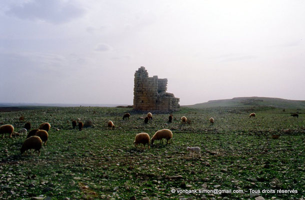 [003-1983-34] Ksar Mdoudja (Civitas A ........) : Mausolée romain