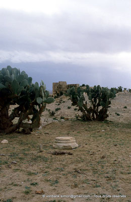 [007-1983-14] Kasserine (Cillium) : Ruines