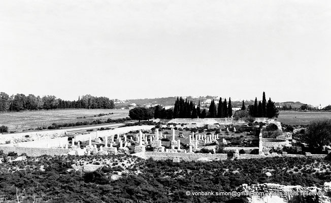 [NB016-1981-11] Carthage (Carthago) : Damous el Karita