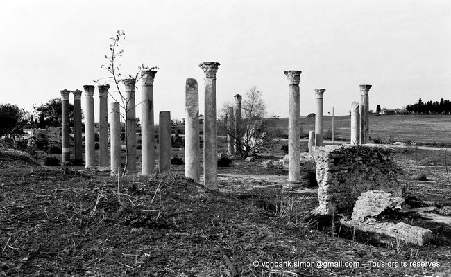 [NB016-1981-16] Carthage (Carthago) : Edifice à colonnes