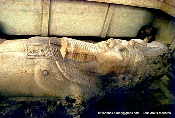 [081-1973-17] Memphis : Statue colossale de Ramsès II