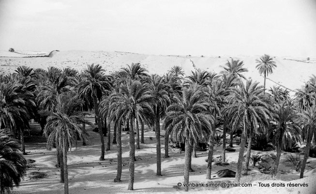 [NB093-1978-267] Touggourt