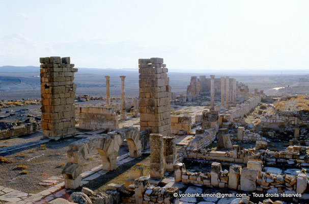 [007-1983-37] Haïdra (Ammaedara) : Église de l'évêque Melleus -Basilique I-