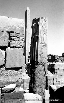 [NB078-1973-62] Karnak - Ipet-Sout : Le "lys", la plante héraldique de Haute-Égypte (Thoutmôsis III) - En arrière-plan l'obélisque d'Hatchepsout