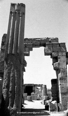 [NB078-1973-42] Karnak - Ipet-Sout : Le "lys", la plante héraldique de Haute-Égypte (Thoutmôsis III)