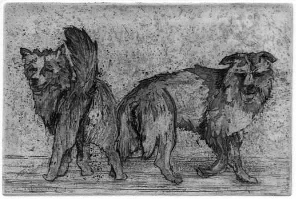 Schumann, Tine, zwei hunde, Radierung, 2015, 5-6, 9,7x14,6 cm / 160 Euro