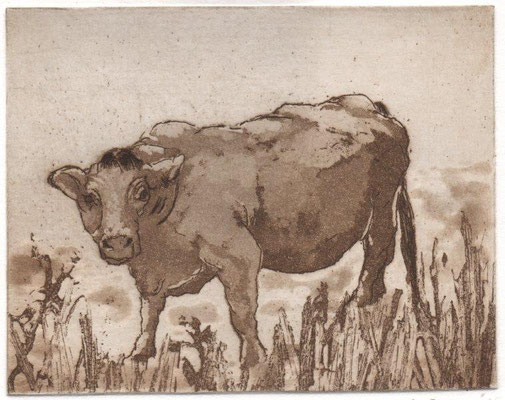 Drope, Götz, Kuh, Radierung-Aquatinta, 2015, 10x12,5 cm / 60 Euro
