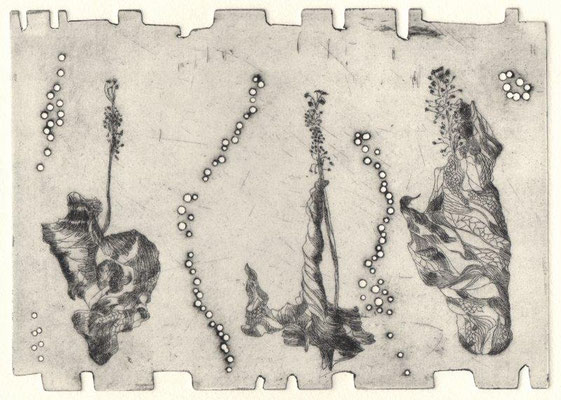  Eberle, Dagmar, Pflanzliches, Kaltnadel-Prägung, 13,5x18,5 cm / 60 Euro