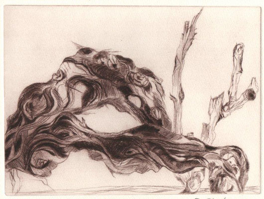 Eberle, Dagmar, Wurzel, Kaltnadel, 13,5x18,5 cm /  40 Euro
