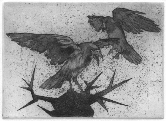  Schumann, Tine, nest, Radierung, 2015, 5-6, 8,8x12,3 cm / 150 Euro