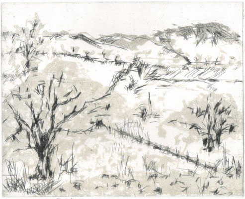 Feustel, Maja-Helen, Bei Bad Berka, Kaltnadel-Reservage, 2013, ea, 19,7x24,5 cm / 60 Euro