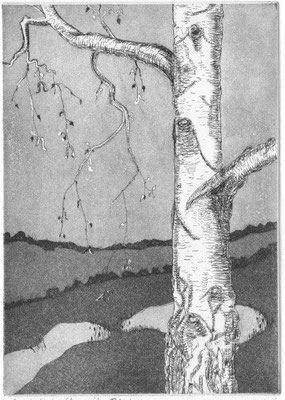 Kramer, Rotraut, Landschaft mit Birke, Radierung-Aquatinta, 2008, ea, 19,5x14 cm / 80 Euro