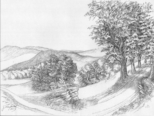  Kaufhold, Gerhard, Landschaftsstudie, Zeichnung, 2015, 29x40 cm / 80 Euro