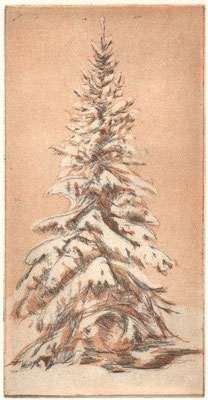 Kan, Tatiana,  Fichte, Farbradierung-Aquatinta, 2006, 4-7, 18x9 cm / 120 Euro
