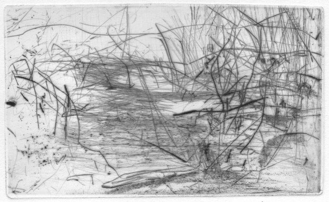 Blendinger, Günter, Landschaft mit Büschen, Kaltnadelradierung, 2003, 1-100, 10,0 x 16,5 cm / 40 Euro