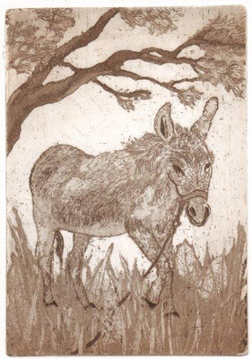 Drope, Götz, Arkadisch, Radierung-Aquatinta, 2014, Probe, 15x10,5 cm / 60 Euro