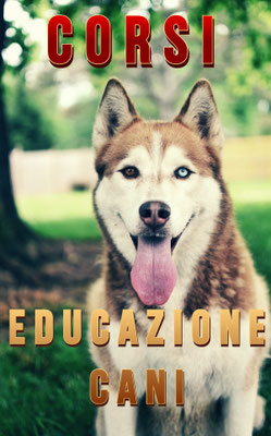 CORSI DI ADDESTRAMENTO DEL CANE