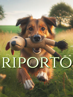ADDESTRAMENTO CANI DA RIPORTO BERGAMO, PALAZZOLO SULL'OGLIO