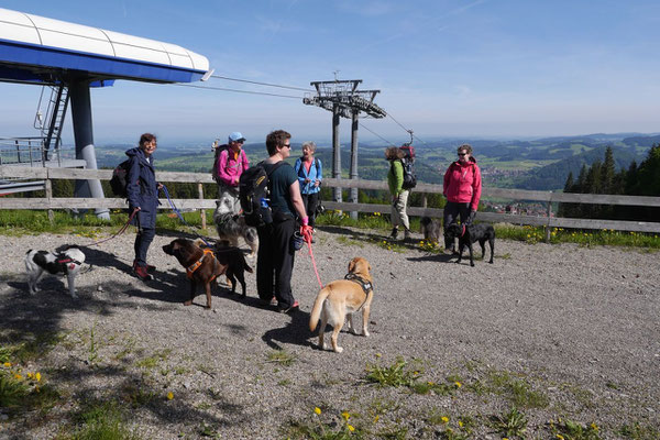 Allgäu,T-Dogs,26.-30.5.2015, Foto Nr.15