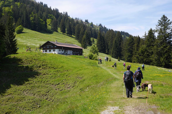 Allgäu,T-Dogs,26.-30.5.2015, Foto Nr.22