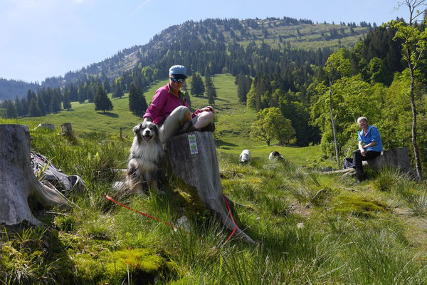 Allgäu,T-Dogs,26.-30.5.2015, Foto Nr.20