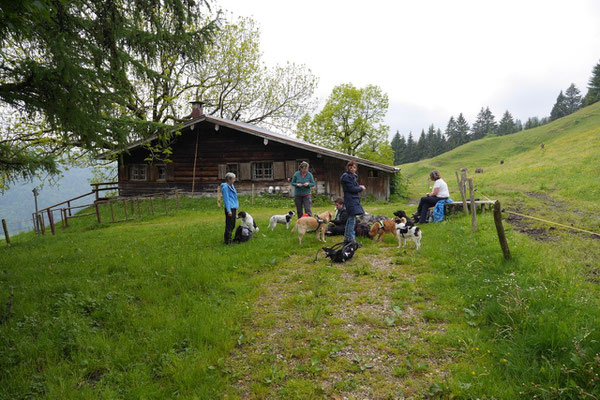 Allgäu,T-Dogs,26.-30.5.2015, Foto Nr.6