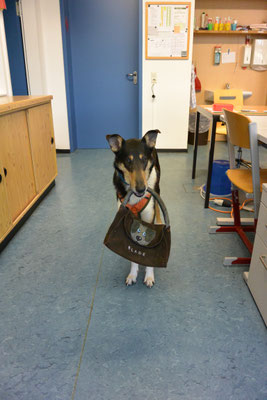 Blade trägt eine Ledertasche, auf die ein Hundekopf und sein Name aufgenäht sind. In die Tasche können zum Beispiel Aufgabenkarten gesteckt werden. 
