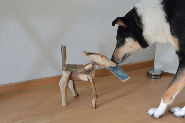 Blade schnuppert an einer etwa 20cm großen Hundeskulptur aus grob bearbeiteten Aststücken, die im Werkunterricht entstanden ist. 