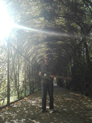 Südpark St.Pölten / 2019