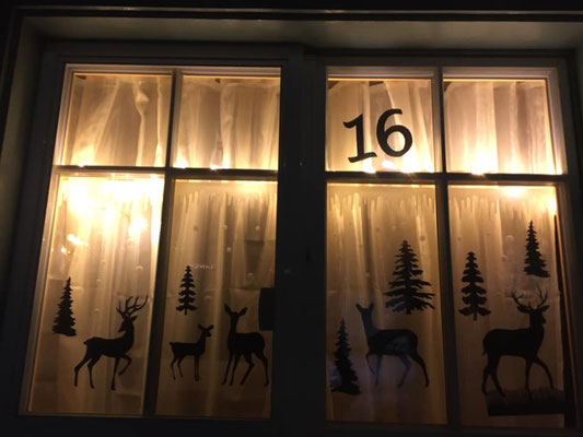 16. Dezember: Maya Kobi