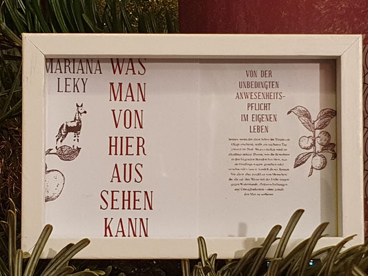23. Dezember 2025: "Was man von hier aus sehen kann." Buch von Mariana Leky, 2019