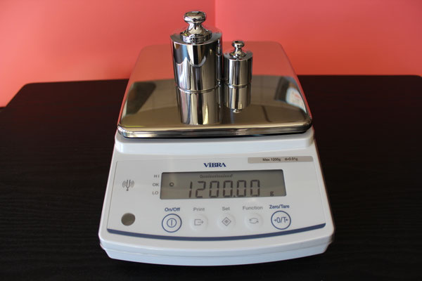 新光電子・RJ-1200