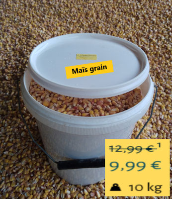 Seau de maïs grain