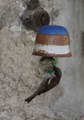 Keramik Meisenglocke mit Spatz Dekor Santorin