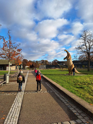 Die Schülerinnen und Schüler gehen im Dinopark spazieren.
