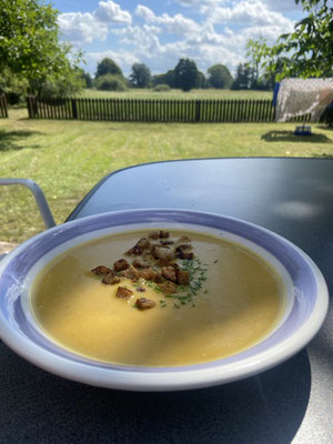 Eine lecker Suppe aus dem Gemüse vom Acker.