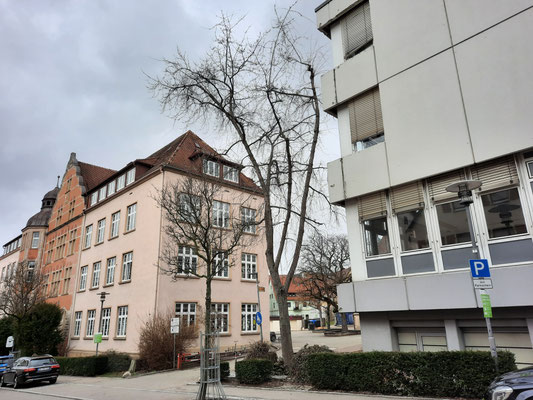 Rechts das Gebäude der Grundschule, links das SBBZ mit Rektorat und Verwaltung.