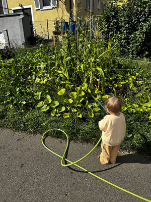 Eine kleine Helferin gießt den Acker in den Sommerferien.