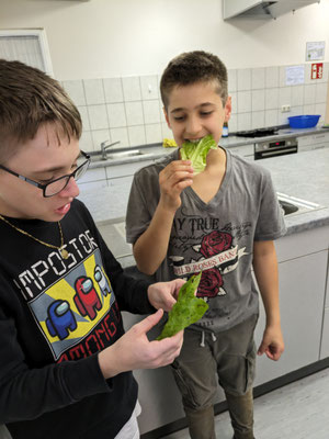 Zwei Schüler probieren in der Schulküche den Romanasalat.