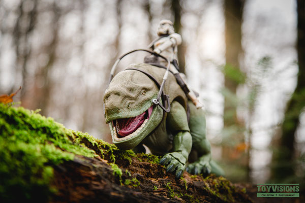 Sandtrooper on a Dewback