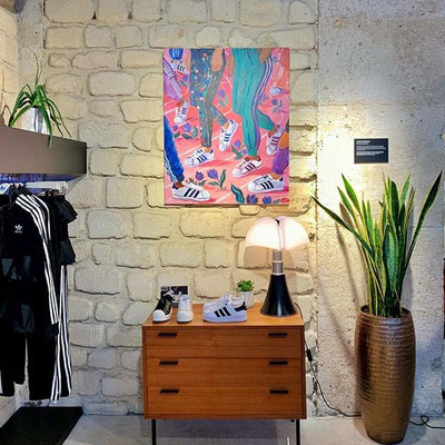 Sansevieria ou langue de belle mère (ici chez Adidas Paris)