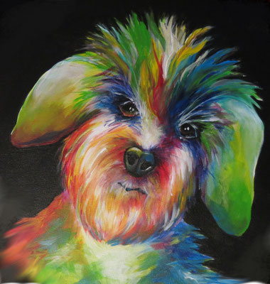 der bunte Hund rund 40