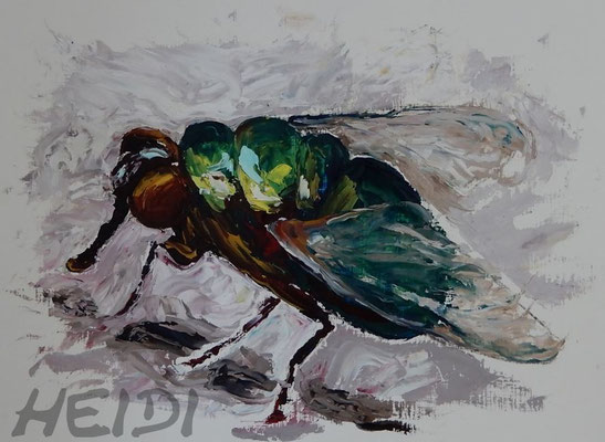 Fliege II 50x40 auf Papier incl. Rahmen   250,-