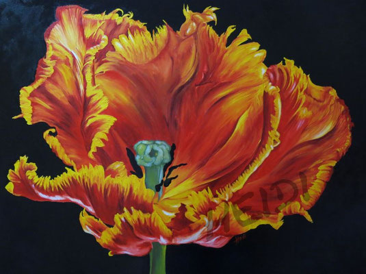 Tulpe   60x80      200,-     VERKAUFT