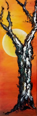 Kaffesatz-Baum 20x50