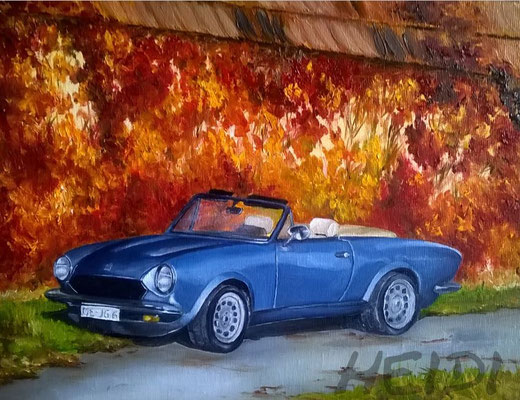 Ford Spider 24x30 Auftragsarbeit
