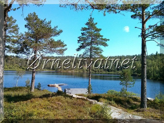 Ørnelivatnet 